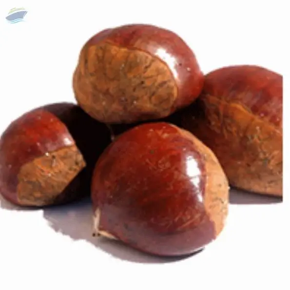 Chestnut
