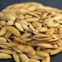 Cantaloupe Seeds