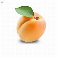 Apricot