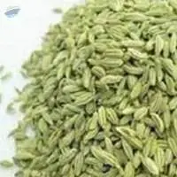 Fennel Seeds