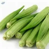 Lady Finger