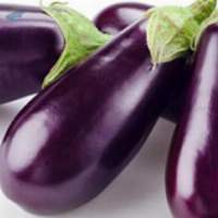 Eggplant