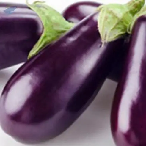 Eggplant