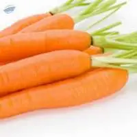 Carrots