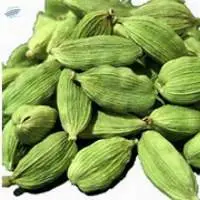 Cardamom