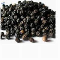 Black Pepper