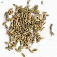 Cumin Seeds