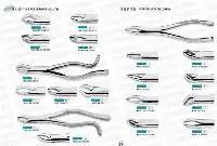 Dental Materials