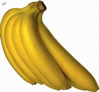 Bananas