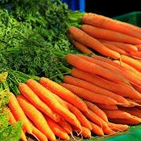 Carrots