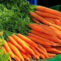 Carrots