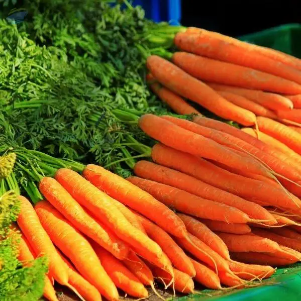 Carrots