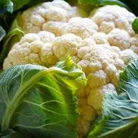 Cauliflower