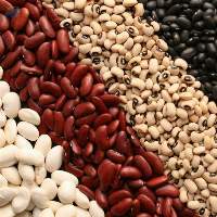 Kidney Beans