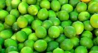 Limes