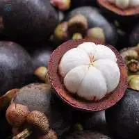 Mangosteen