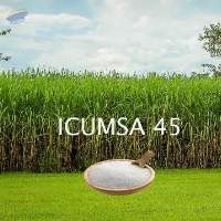 Sugar Icumsa 45