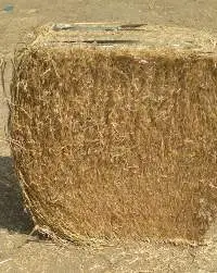 Wheat Straw High-Quality Feed
