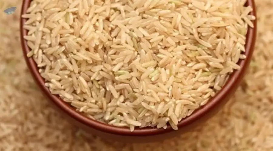 Brown Jasmine Rice 100%
