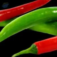 Green Chilli