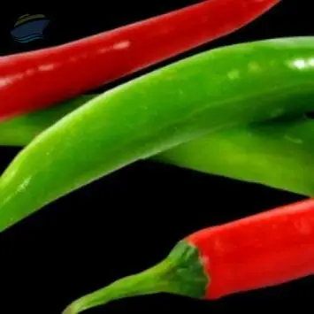Green Chilli