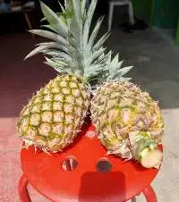 Pineapple