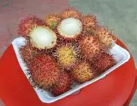 Rambutan