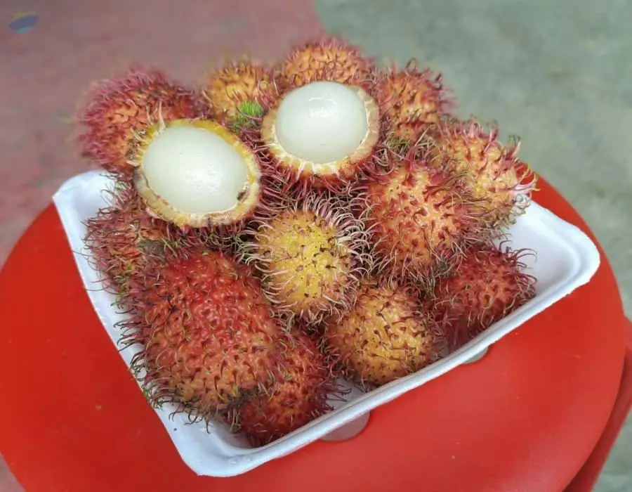 Rambutan