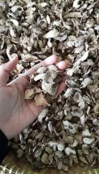 Dry White Ginger