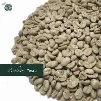 Arabica Toraja