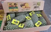 Honey Pineapple