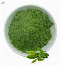 China Green Tea Organic Ceremonial Matcha