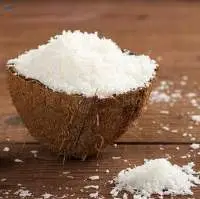 Desiccated Coconut Powder