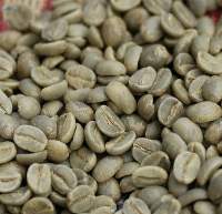 Coffee Beans Robusta