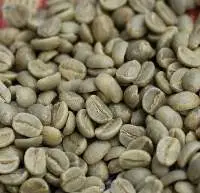 Coffee Beans Robusta