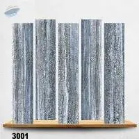 Ceramic Wall Tiles, Digital Wall Tiles