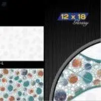 Ceramic Wall Tiles, Digital Wall Tiles