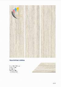 Slab Tiles 800 X 3000 Mm 15 Mm Thickness