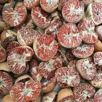 Betel Nuts
