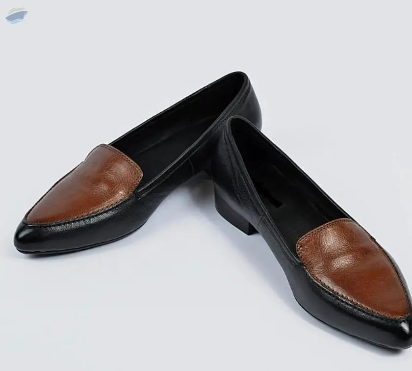 Women Premium Ballerina