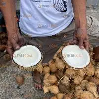 Semi Husked Coconut