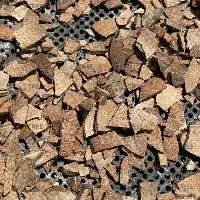Coconut Shell