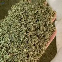 Marjoram