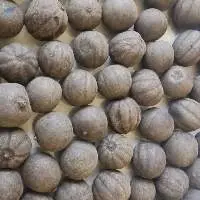Dried Black Lemon
