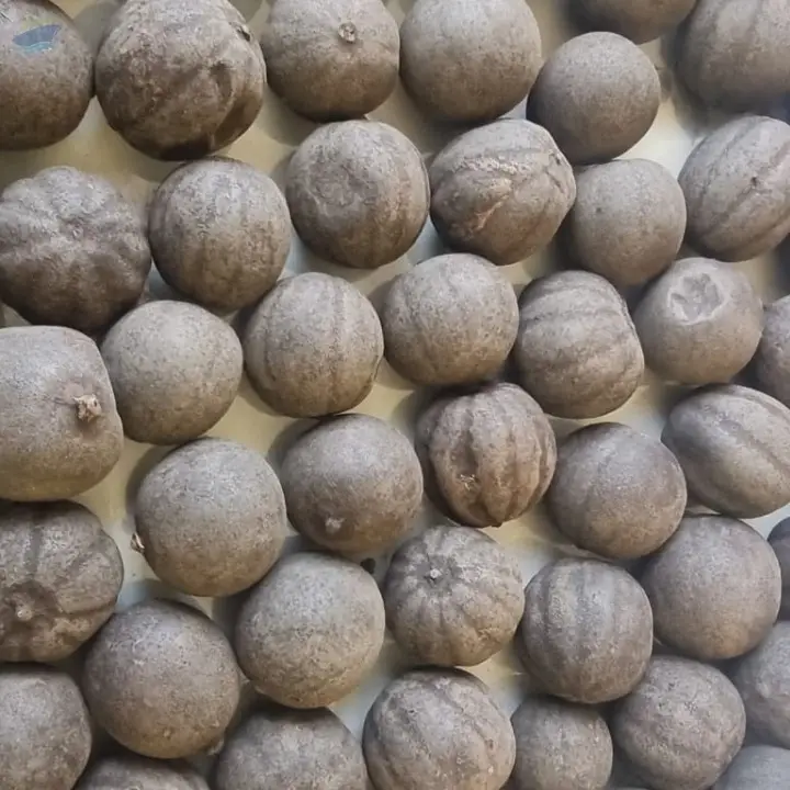 Dried Black Lemon