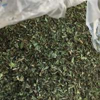Peppermint