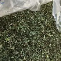 Peppermint