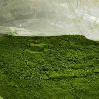 Moringa Leaves Or Powder