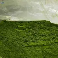 Moringa Leaves Or Powder