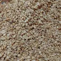Golden Sesame